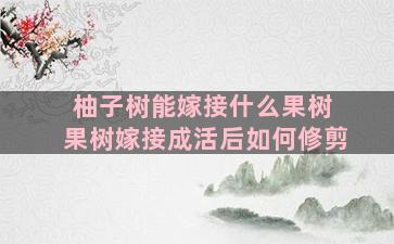 柚子树能嫁接什么果树 果树嫁接成活后如何修剪